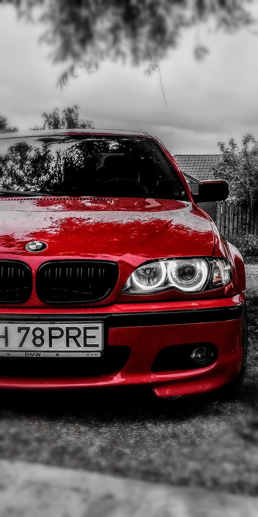 Red BMW E46 M3 front grille and headlights with water droplets against a gray desaturated forest background.