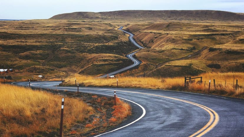 Asphalt road curves through dry golden grasslands and rolling hills under a soft muted sky in a rural setting.