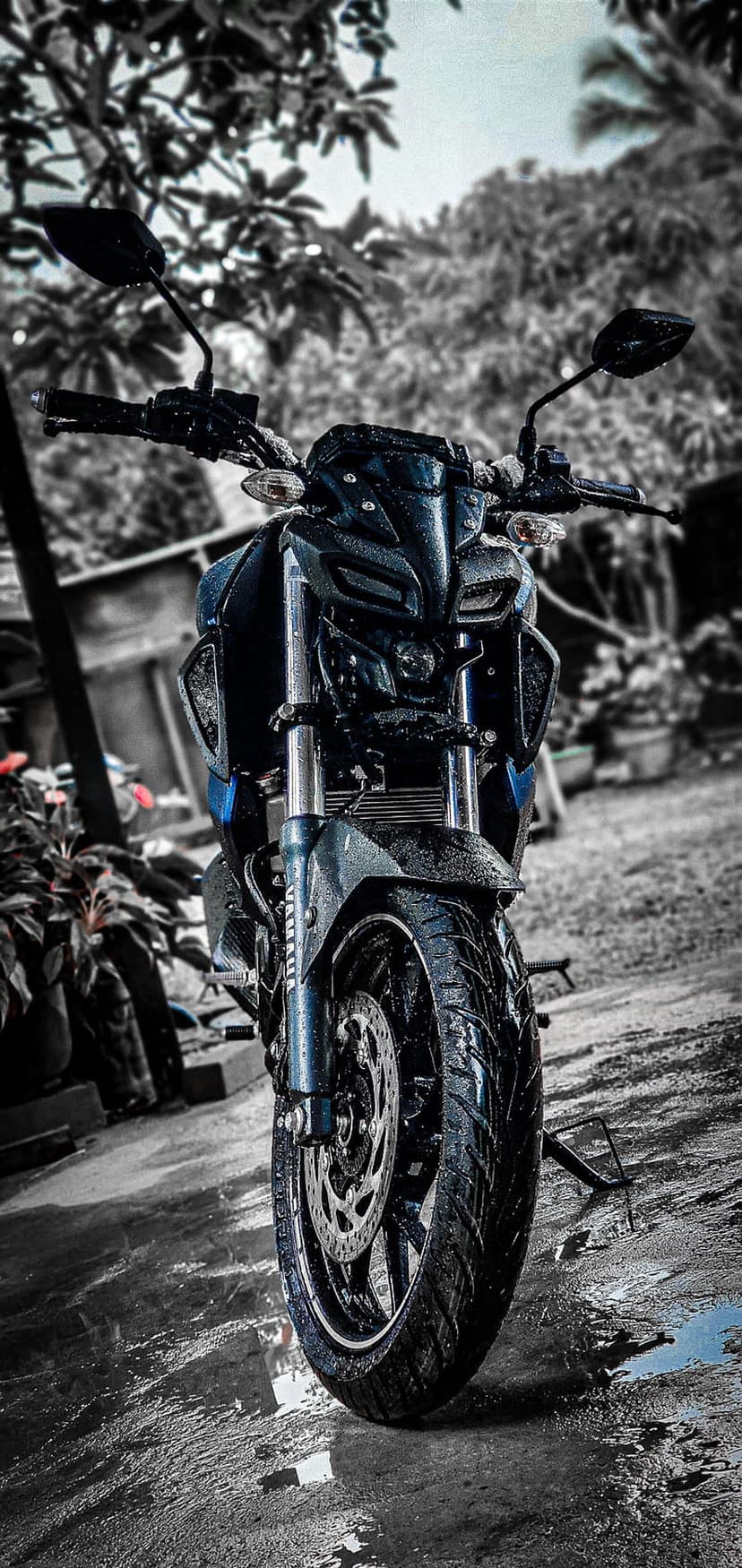 Dark blue Yamaha MT-15 motorcycle with water droplets on its frame parked on a wet asphalt road in the rain.