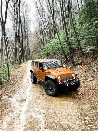 Orange Jeep Wrangler Off-Road Forest Mobile Wallpaper