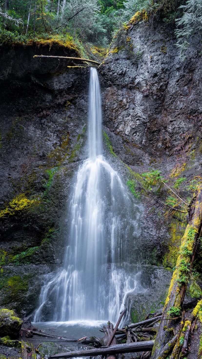 Waterfall plunging down a dark rocky cliff covered in vibrant green moss and lichen inside a misty forest scene.