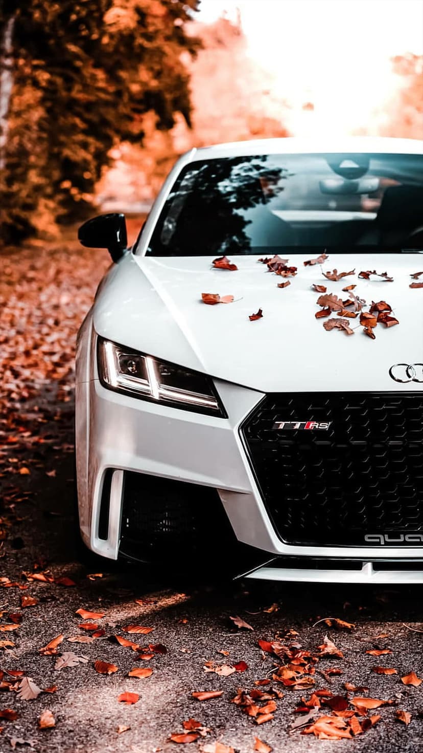 White Audi TT RS sports car parked on a forest road covered in orange autumn leaves under soft natural light.