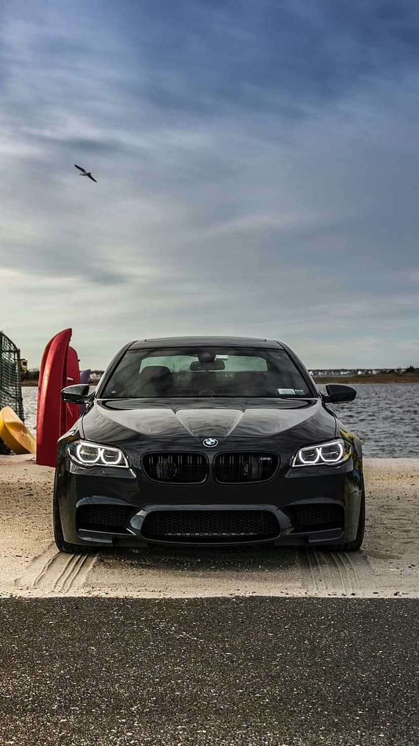 Black BMW M5 with headlights on parked by kayaks and a fence under an overcast sky with a bird in flight.