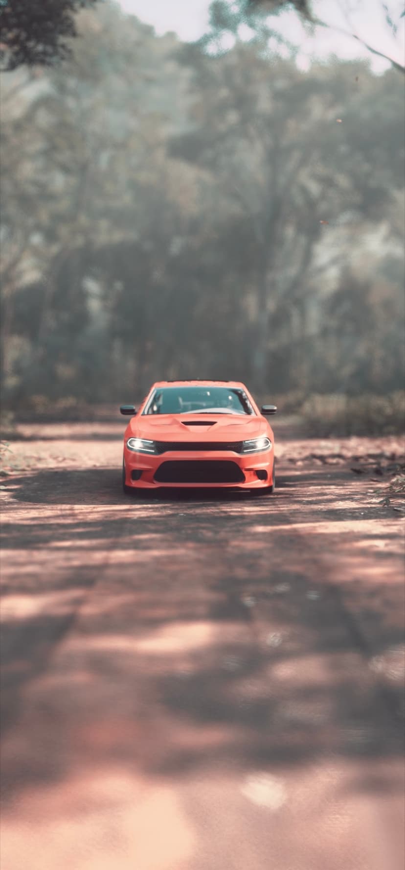 Orange Dodge Charger on a dirt road in a misty forest with sunlight filtering through tall green trees.