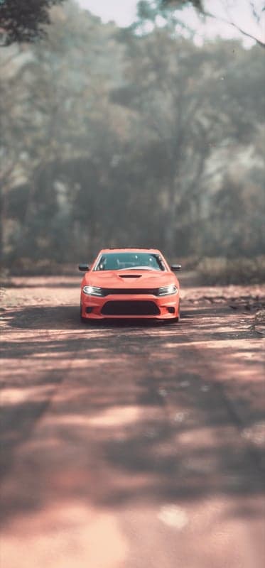 Orange Dodge Charger on a Forest Road