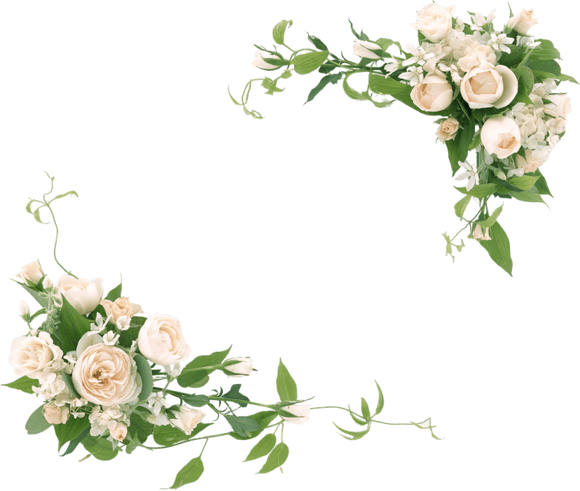 White roses and green leaves arranged in a circular frame illustration showing realistic petal textures and veins.