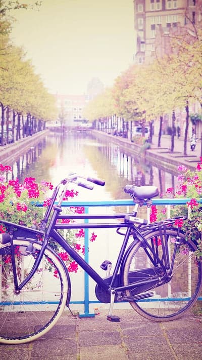 Bicycle by Amsterdam Canal with Flowers
