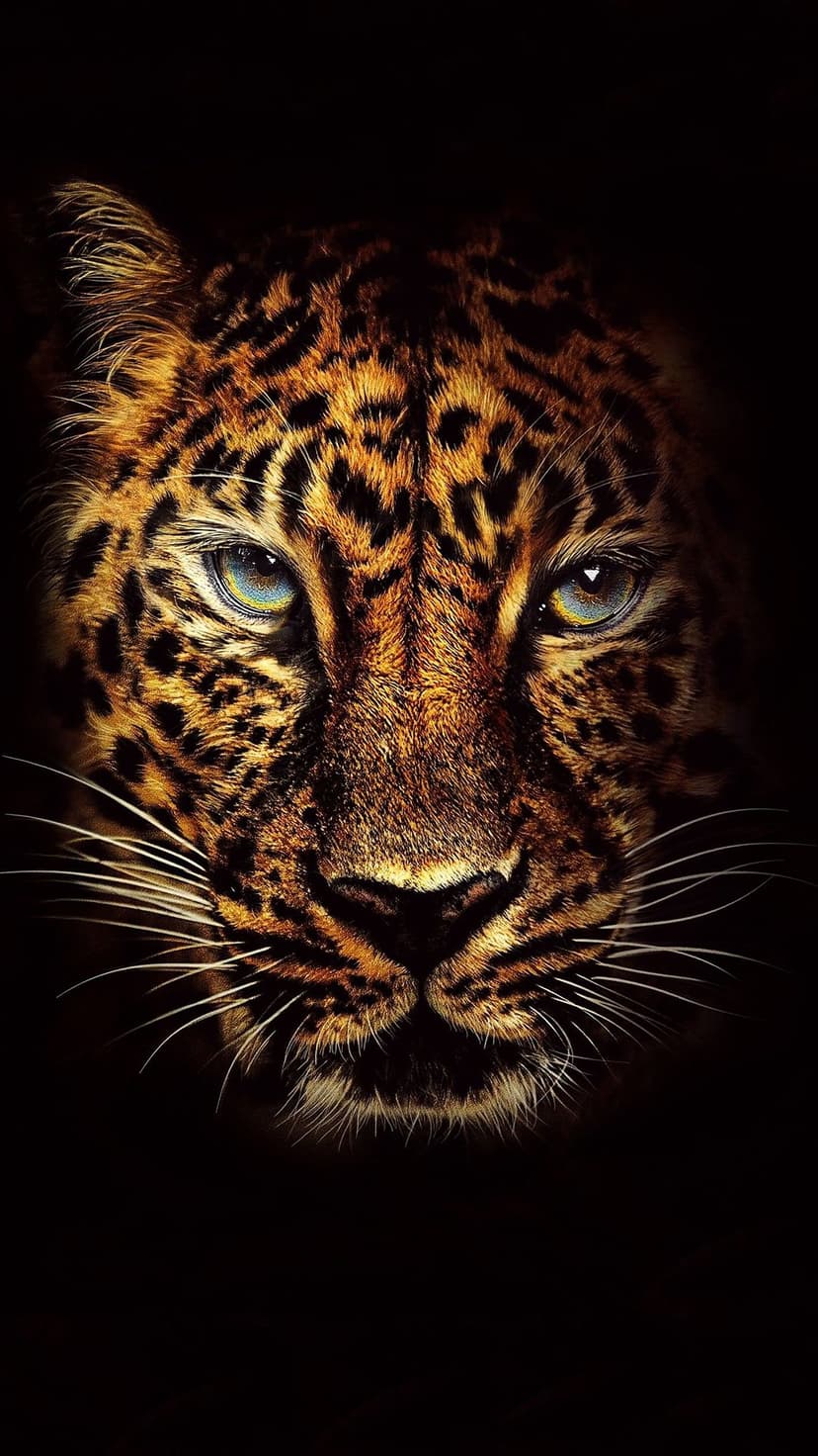 Joker characters from various films and a golden leopard with blue eyes appear in vertical portrait layouts.