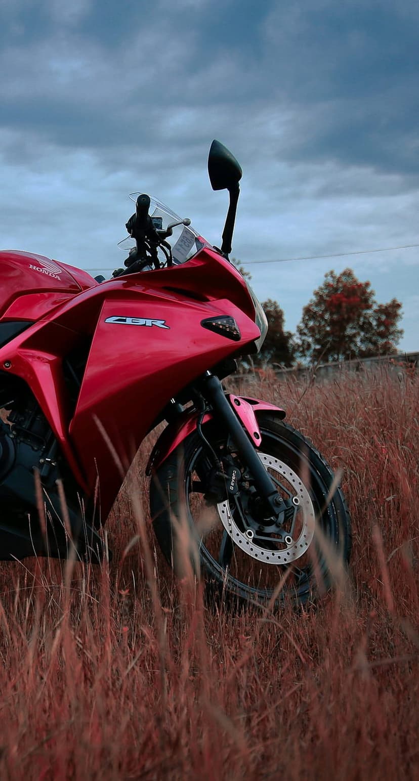 Red Honda CBR sportbike parked in a field of tall dry grass under a cloudy sky in a vertical portrait shot.