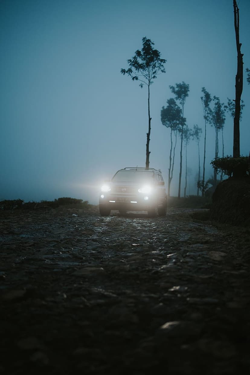 Bright car headlights shine through dense blue fog on rocky mountain road lined with tall pine tree silhouettes.