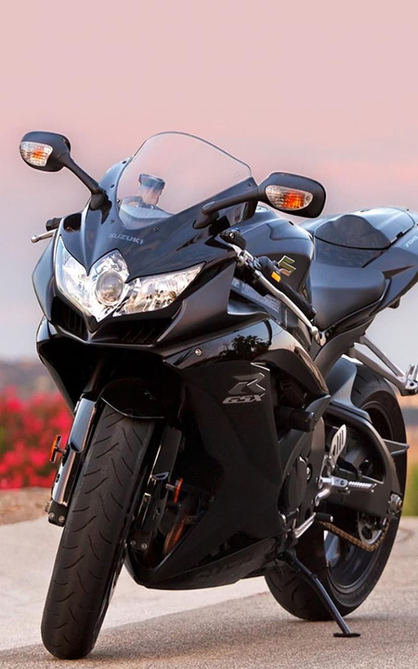 Suzuki GSX motorcycle with dual headlights faces forward against a pink sunset sky and red foreground flowers.