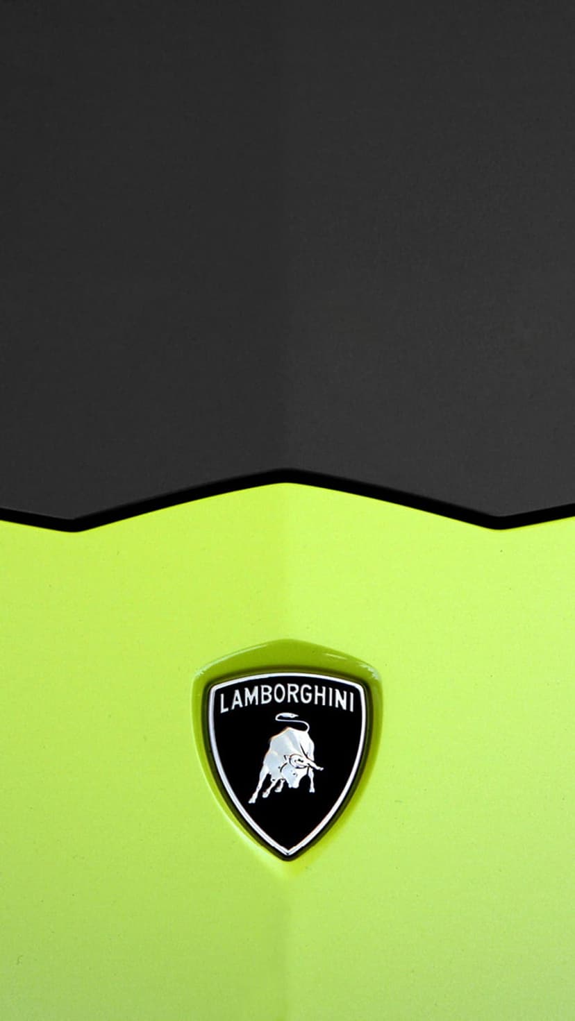 Gold and black Lamborghini shield emblem centered on a vibrant lime green car hood with matte black accents.