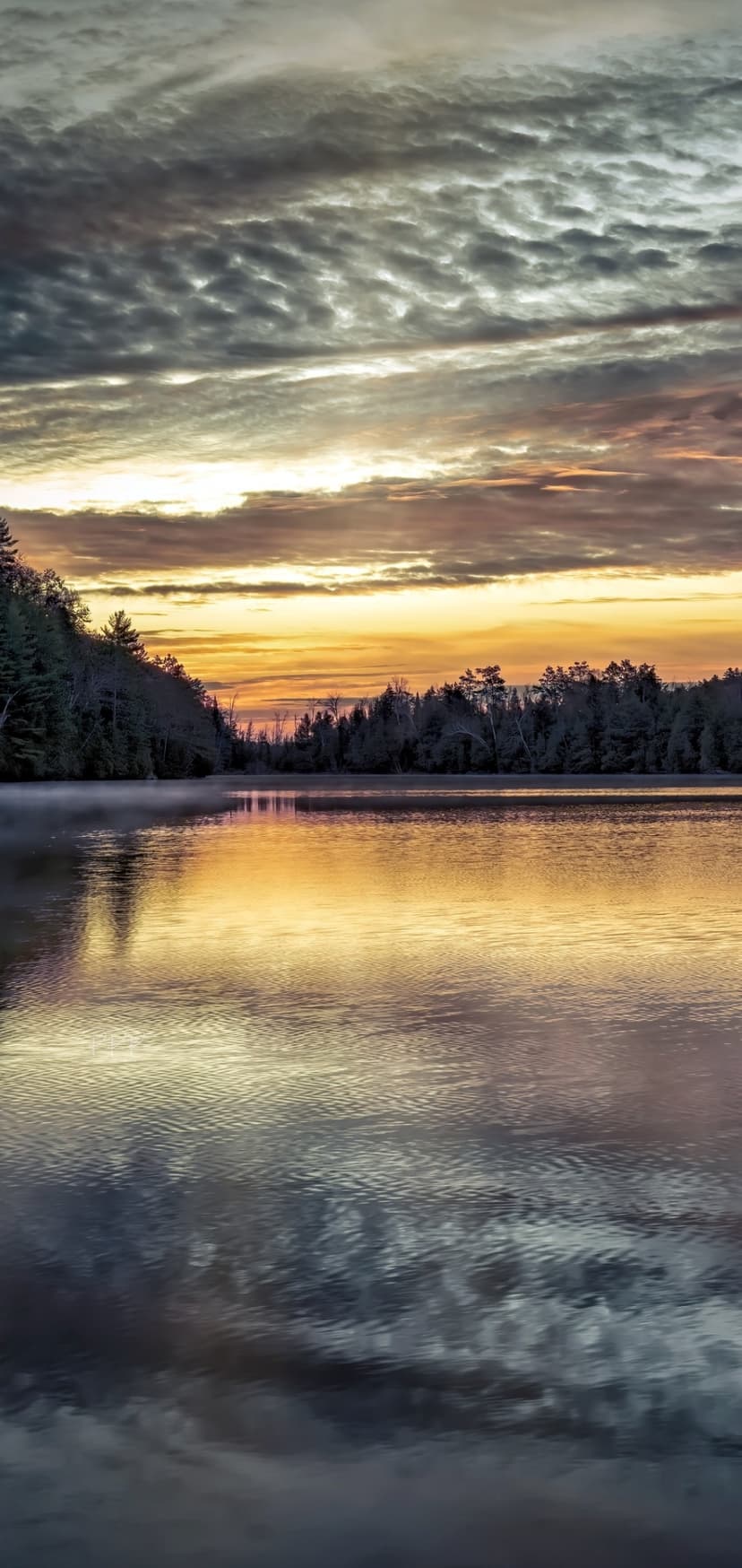 Vibrant orange clouds reflect in a still lake at sunset with a dark forest silhouette along the distant horizon.