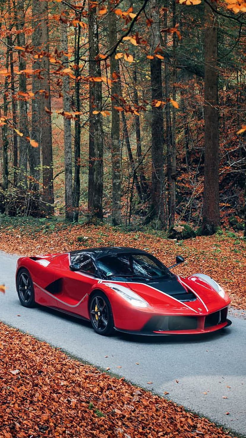 Red Ferrari supercar driving through a vibrant autumn forest on a road covered with fallen orange leaves.