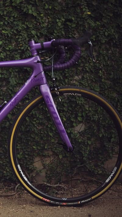 Purple Scott Prince road bike with custom details