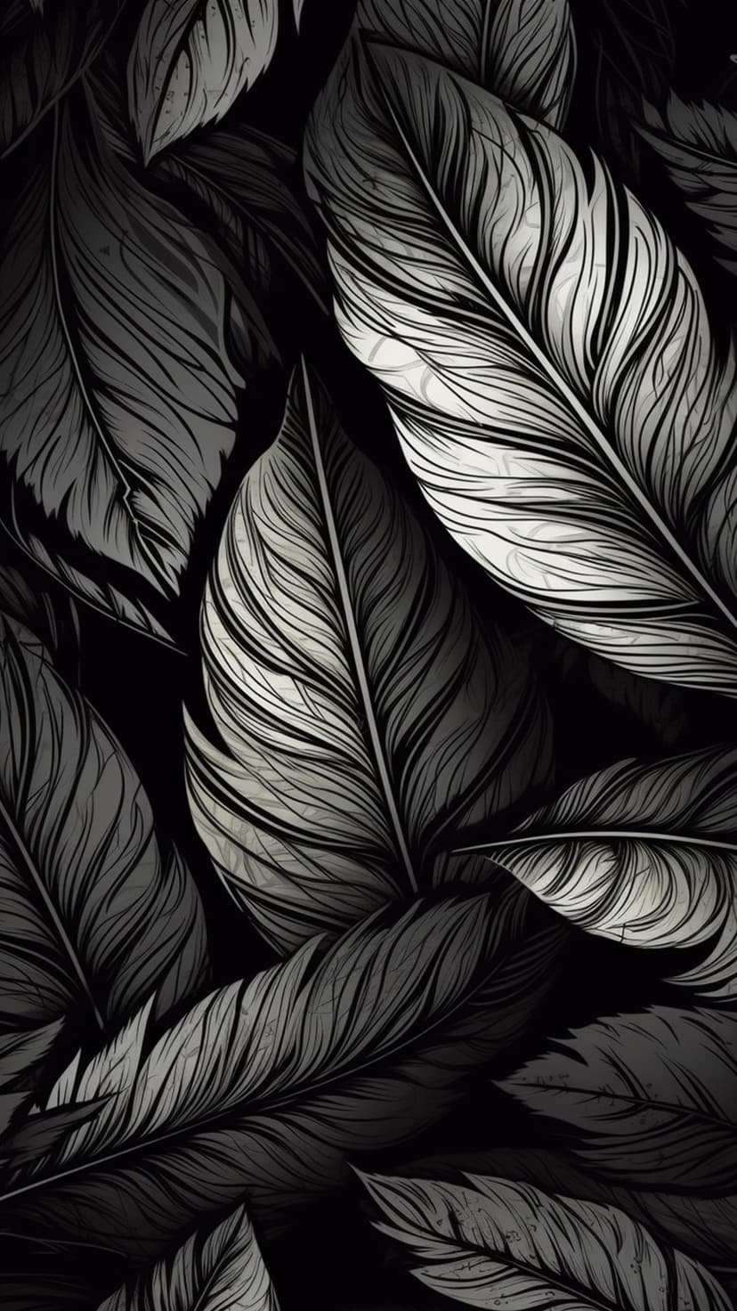 Overlapping black and white feathers with visible quills and fine barbules create a dense and textured pattern.