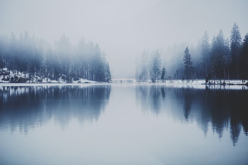 Snow-laden pine trees mirror in a tranquil, fog-shrouded lake during a quiet winter morning scene.