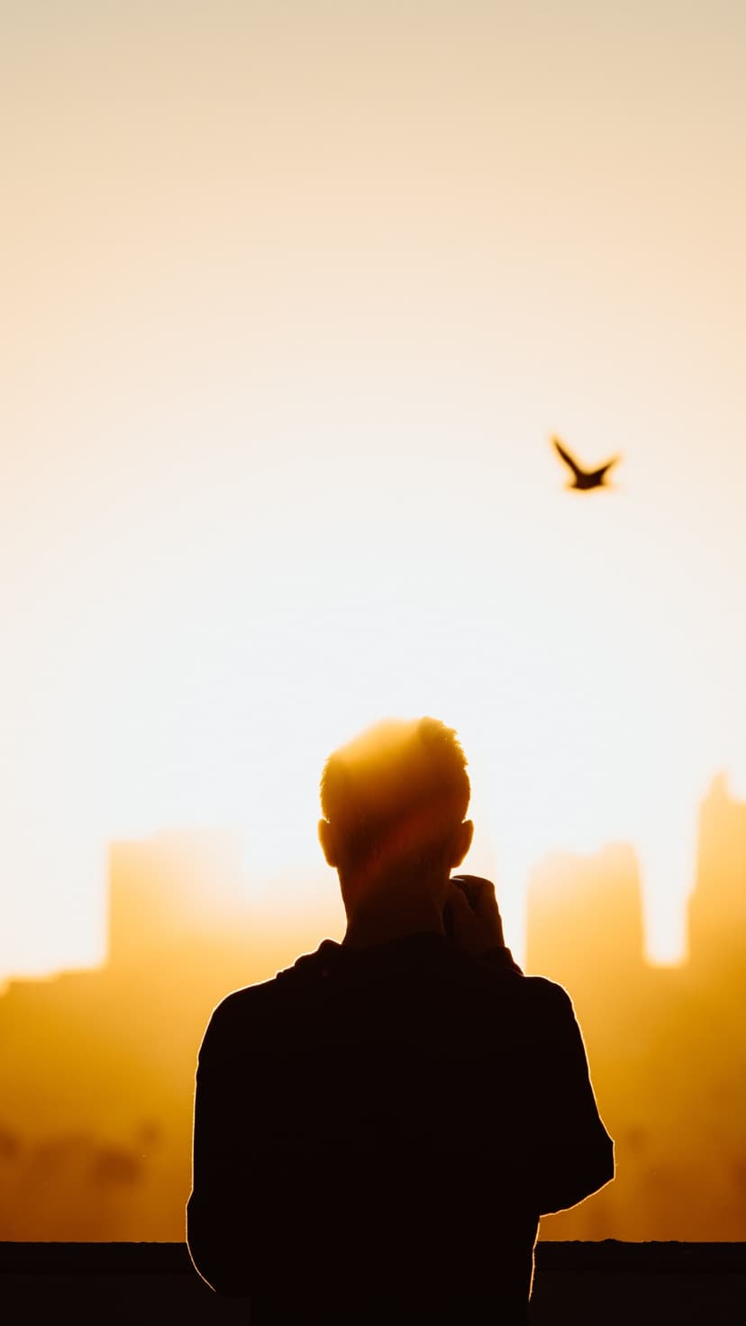 Person in silhouette stands against a bright morning sunburst with a bird flying over a hazy city horizon.