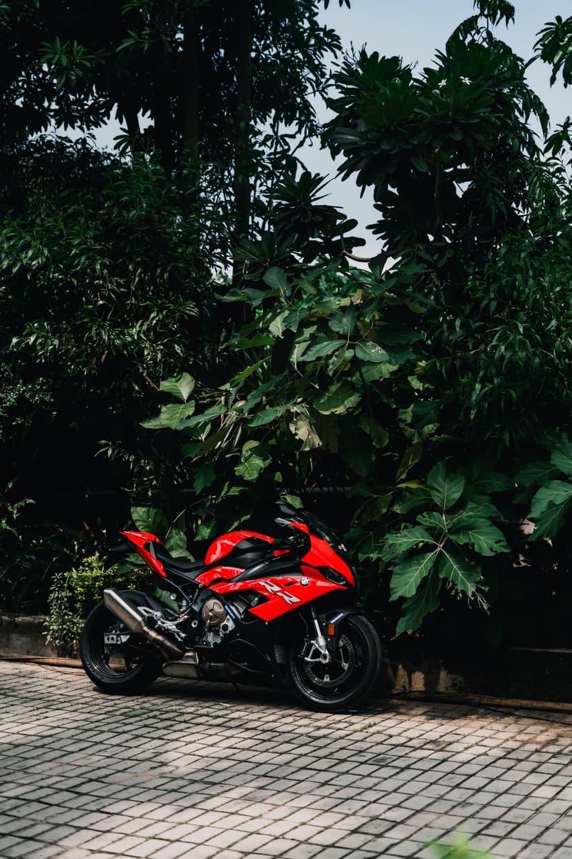 Red sport motorcycle parked on cobblestone surrounded by dark green tropical leaves and soft dappled sunlight.