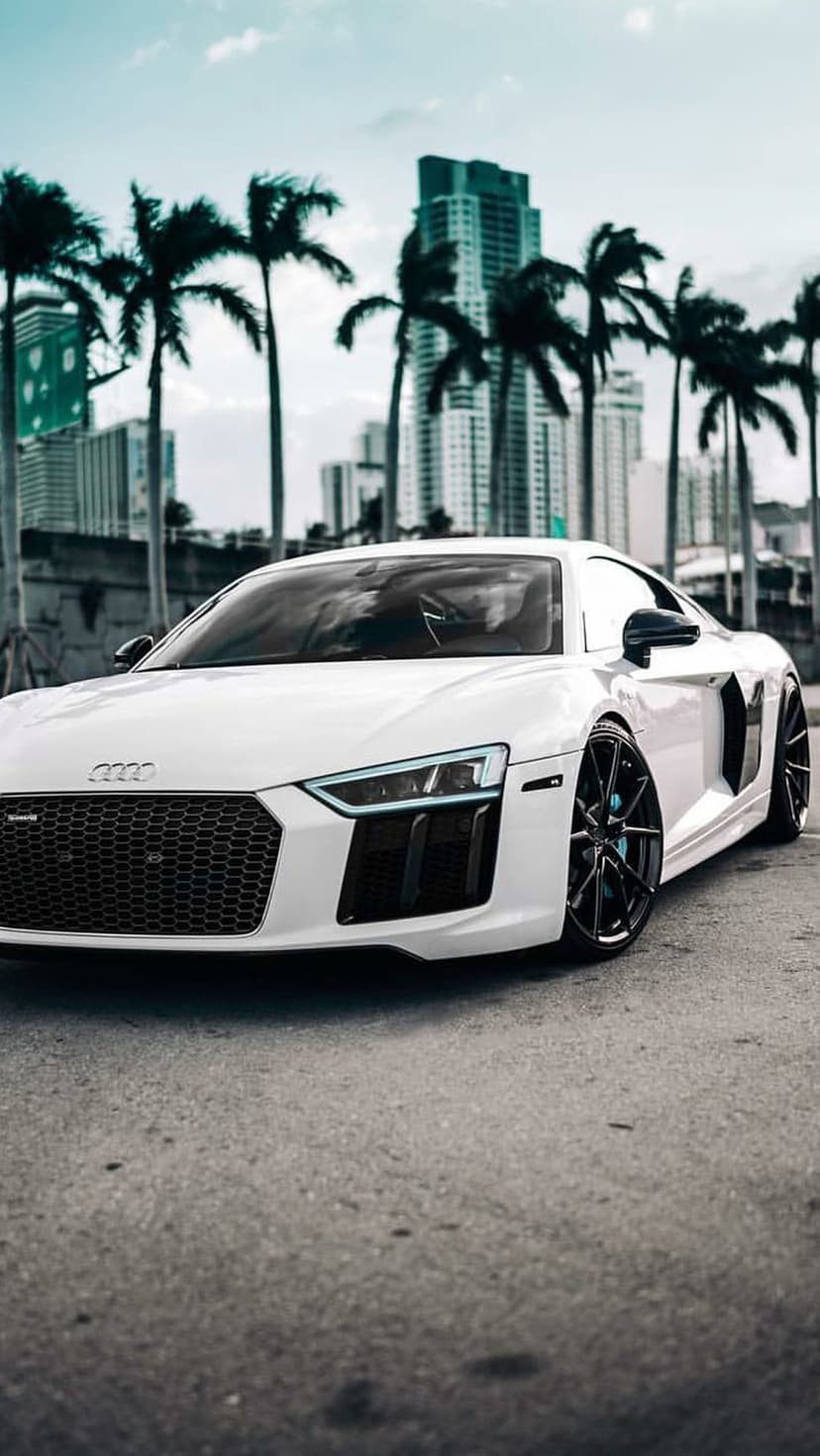 White Audi R8 sports car parked on a road with green palm trees and tall city buildings under a blue sky.