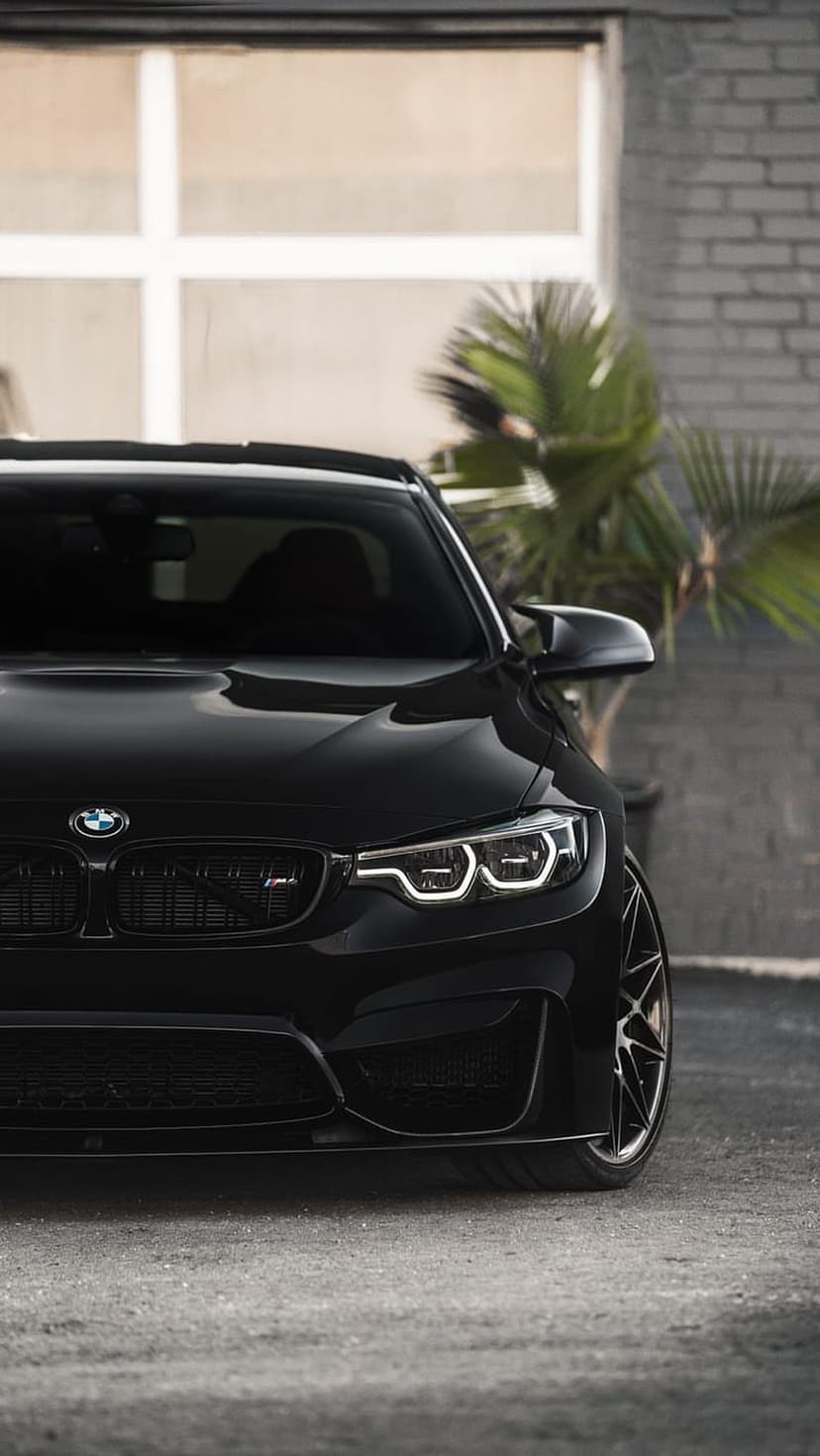 Black BMW M4 front bumper and kidney grille viewed from a low angle with palm trees in the background.