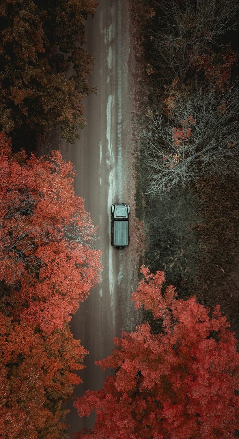 Black car driving on a dirt road through red and orange autumn trees seen from a top-down drone perspective.