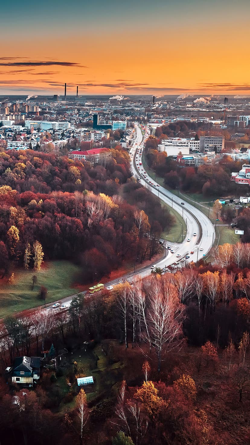 Winding highway curving through a dense autumn forest toward a distant city skyline under a glowing sunset sky.
