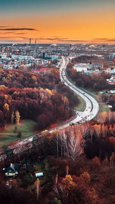 Winding Descent - Autumn Cityscape