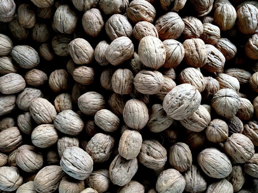 Uncracked walnuts in their beige shells create a dense, textured pattern with deep ridges and organic details.