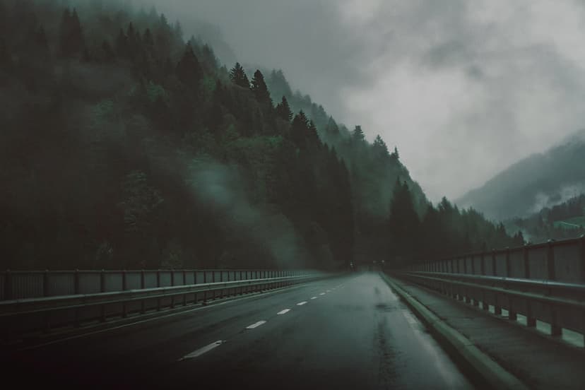 Wet asphalt road curves into a dense evergreen forest shrouded in thick grey fog and low-hanging clouds.