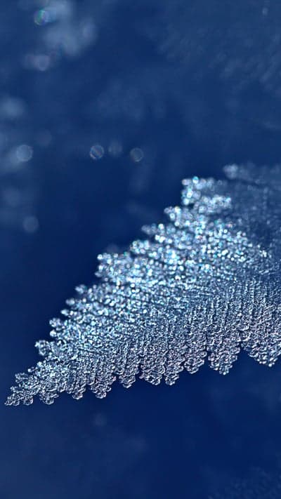 Frozen Lace - Macro Beauty of Ice Crystals