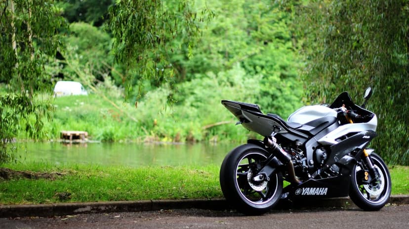 White and black Yamaha R6 sportbike parked on a roadside near a lush pond with green trees and soft bokeh.