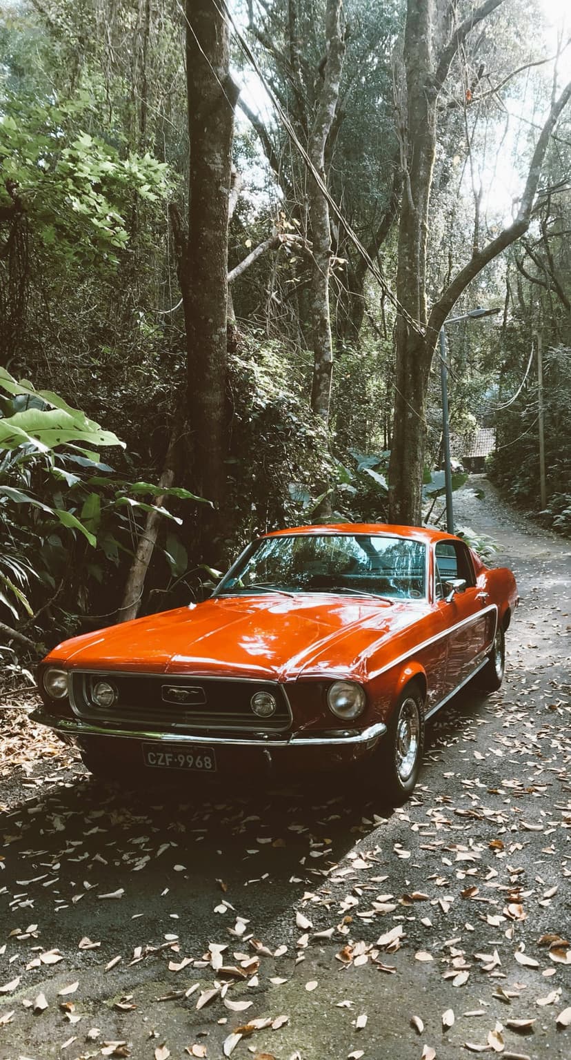 Orange classic Ford Mustang on a leaf-covered forest road with sun rays shining through green trees.