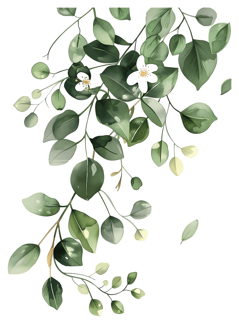 Hanging green leaves illustration featuring cascading vines and detailed emerald foliage on transparent background.