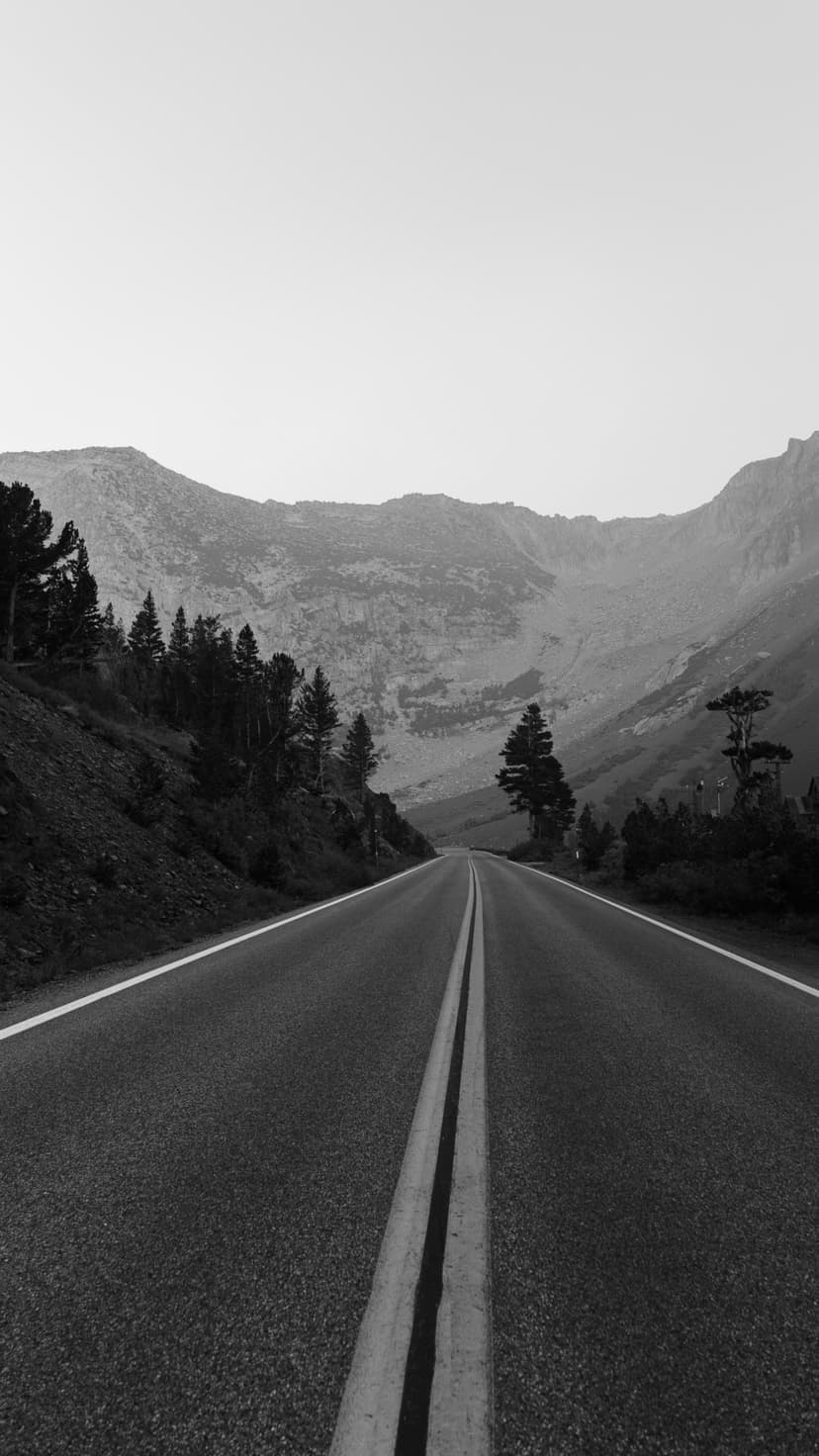 Straight mountain road surrounded by pine trees and rocky slopes under an overcast sky in black and white.
