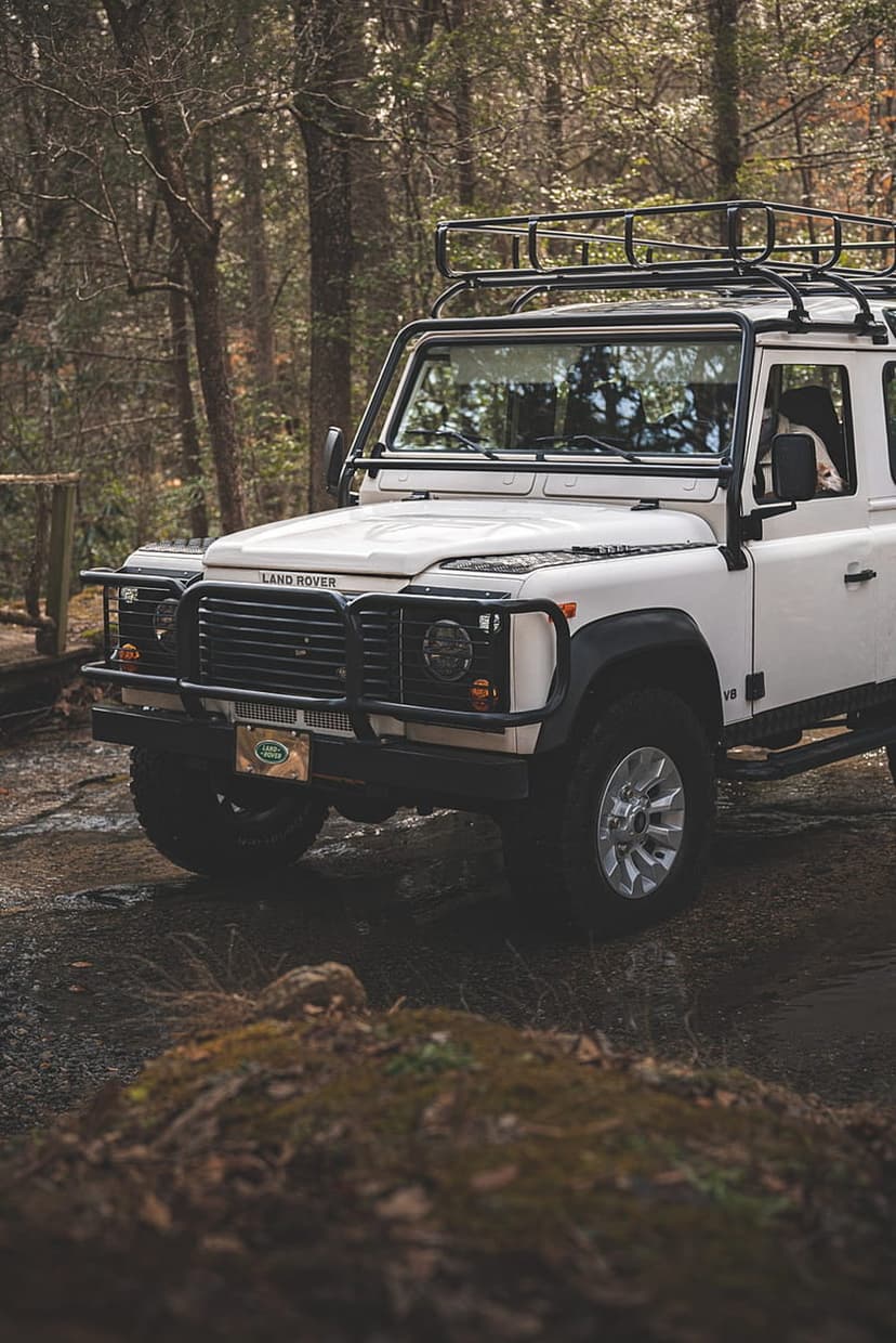 White Land Rover Defender with a roof rack parked on a dirt trail surrounded by lush, green forest trees.