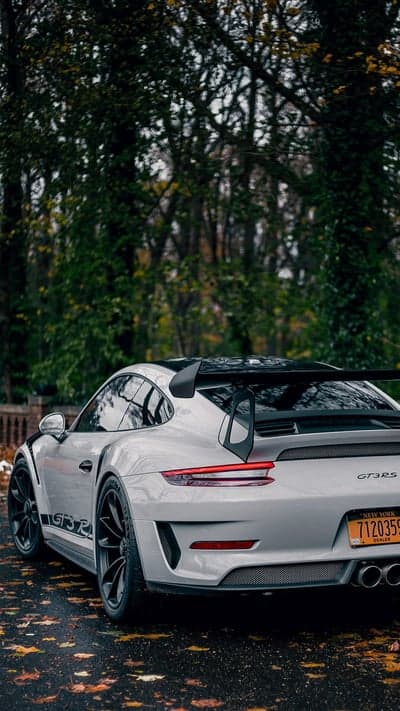 Porsche GT3RS Sports Car Fall Foliage Vertical Wallpaper