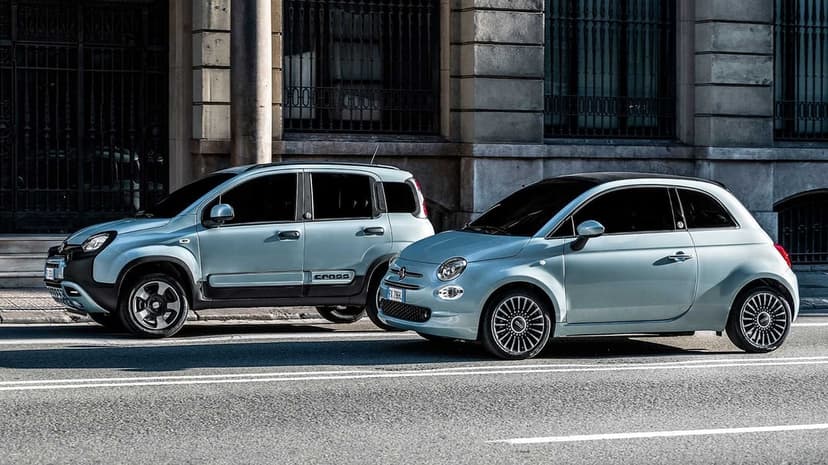 Light blue Fiat Panda Cross and Fiat 500 cars parked on a paved city street in front of a stone building.