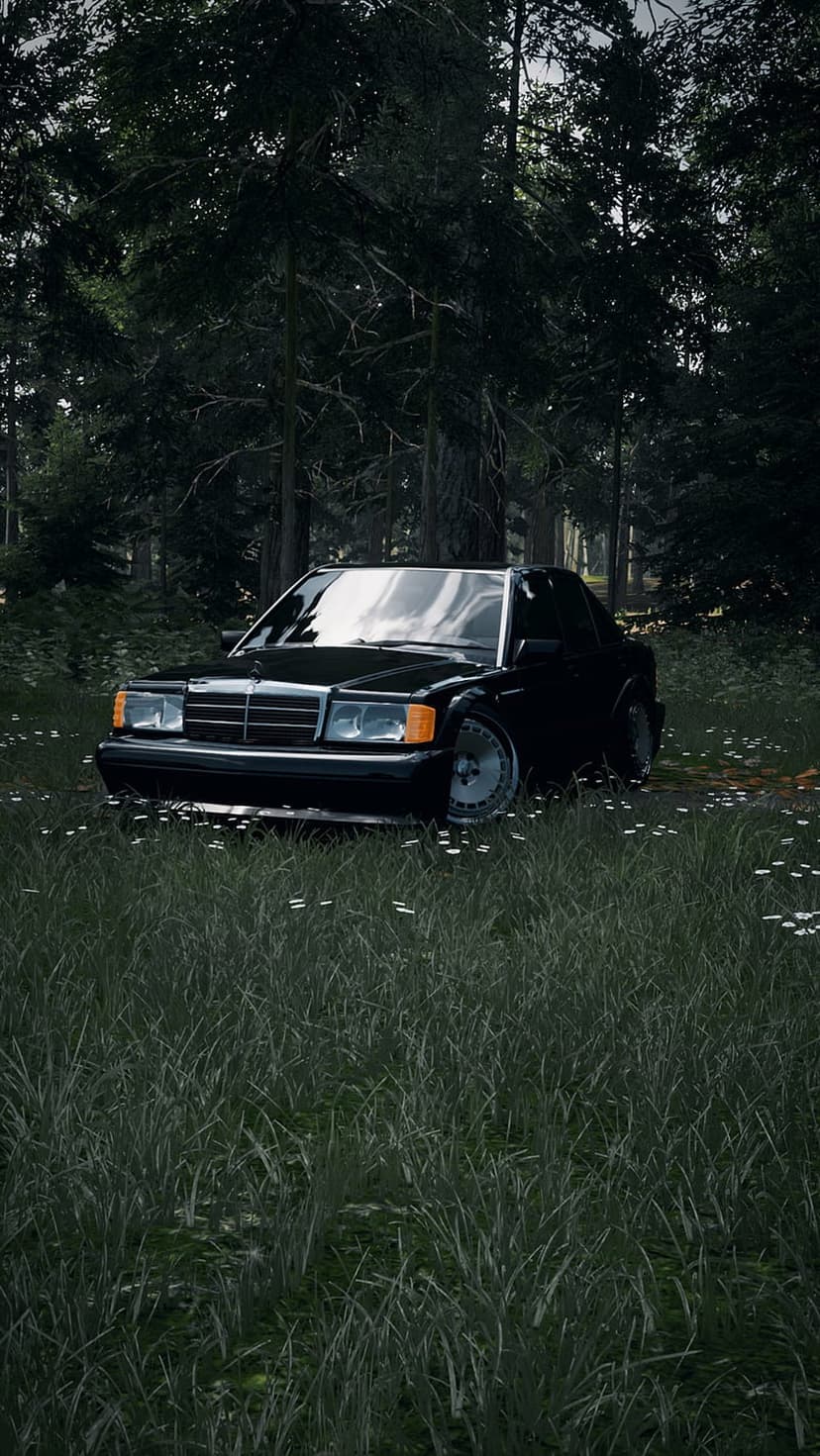 Black Mercedes 190E parked in long grass among tall trees with sunbeams filtering through a dark forest canopy.