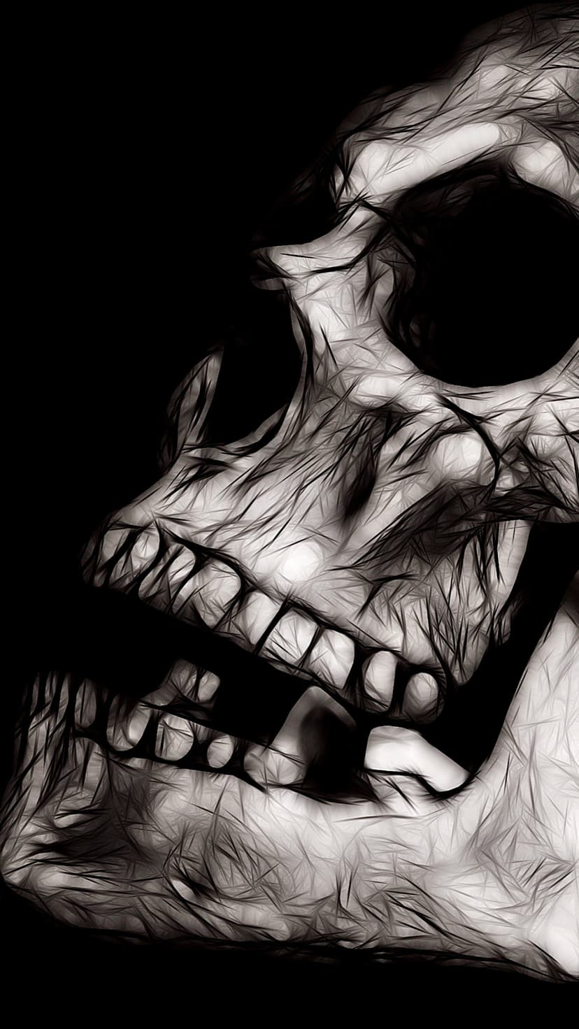 Human skull featuring intricate fractal patterns and shadows creates a sharp monochromatic mobile composition.