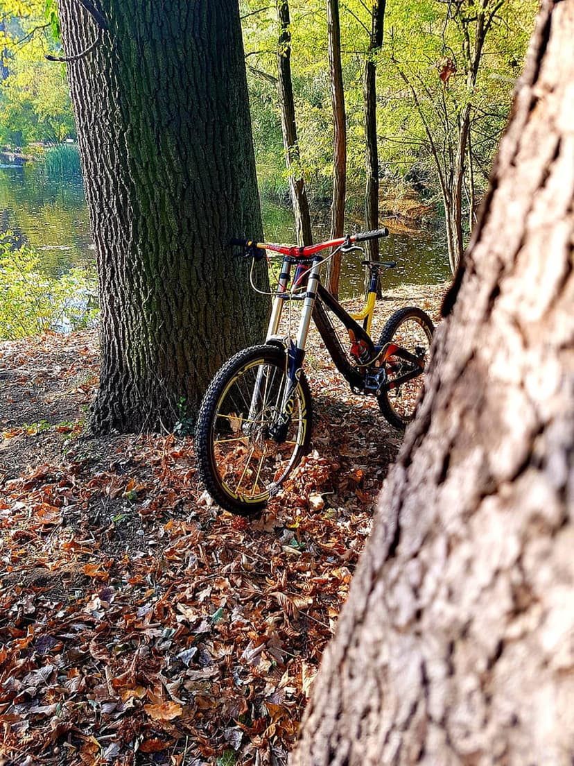 Downhill mountain bike leaning against a tree in an autumn forest with a calm lake reflecting golden sunlight.