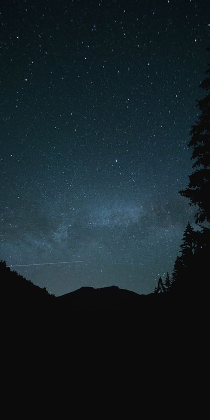 Luminous Milky Way galaxy stretching over a dark mountain silhouette and foreground evergreen trees at night.