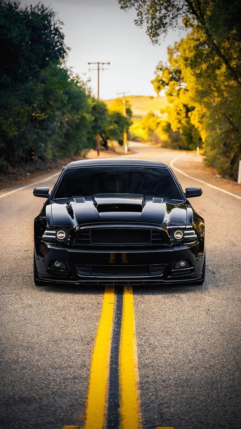 Black Ford Mustang on a winding forest road with double yellow lines under golden sunlight and green trees.