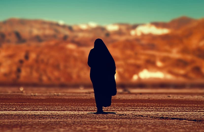 Black silhouette walking on cracked red earth towards distant mountains under a teal sky in a vertical vista.