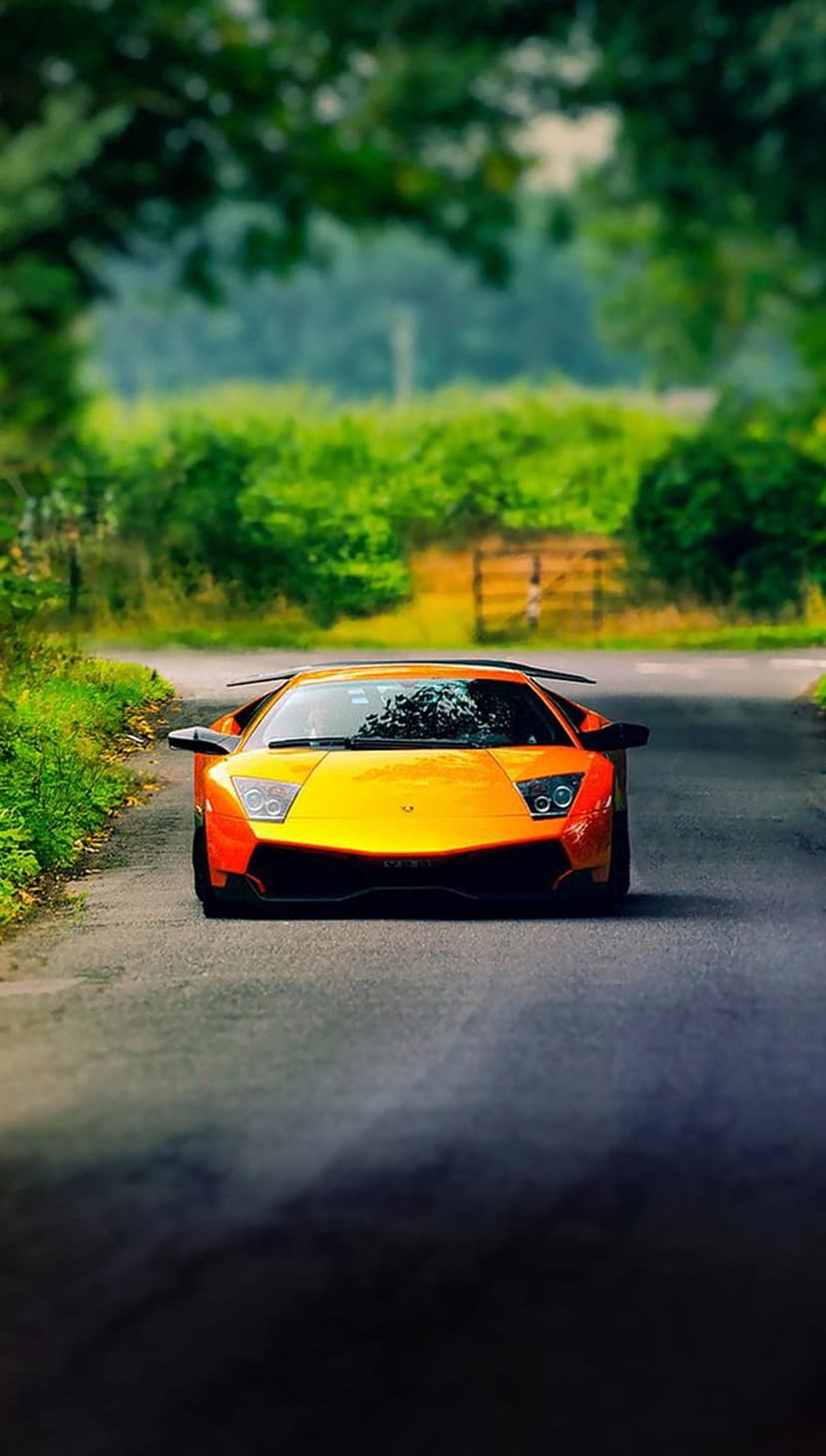 Orange Lamborghini supercar driving on a paved road through green woods in a low-angle vertical composition.