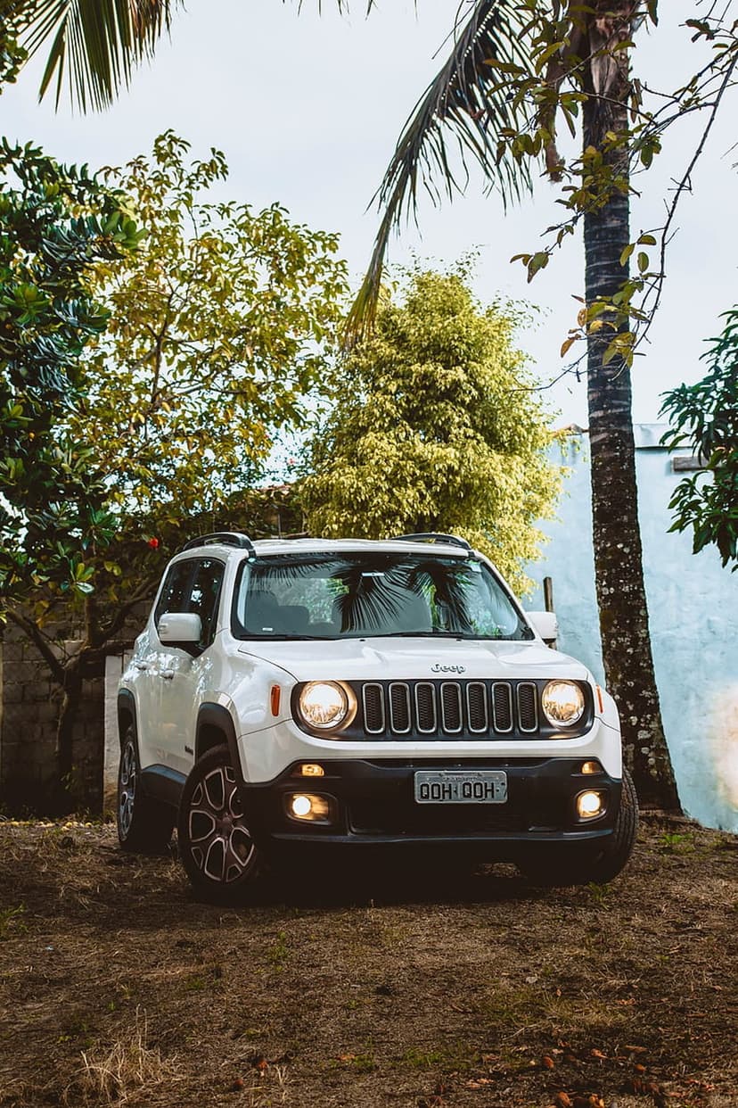 White Jeep Renegade SUV parked on a dirt trail surrounded by dense green foliage and tall palm trees in daylight.