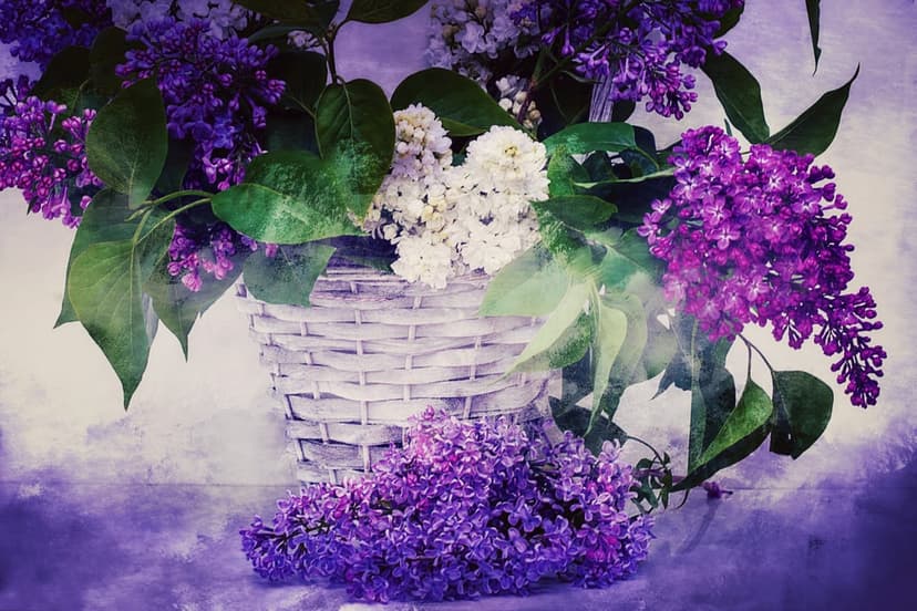Purple and white lilac clusters spill from a brown wicker basket with green leaves against a soft background.