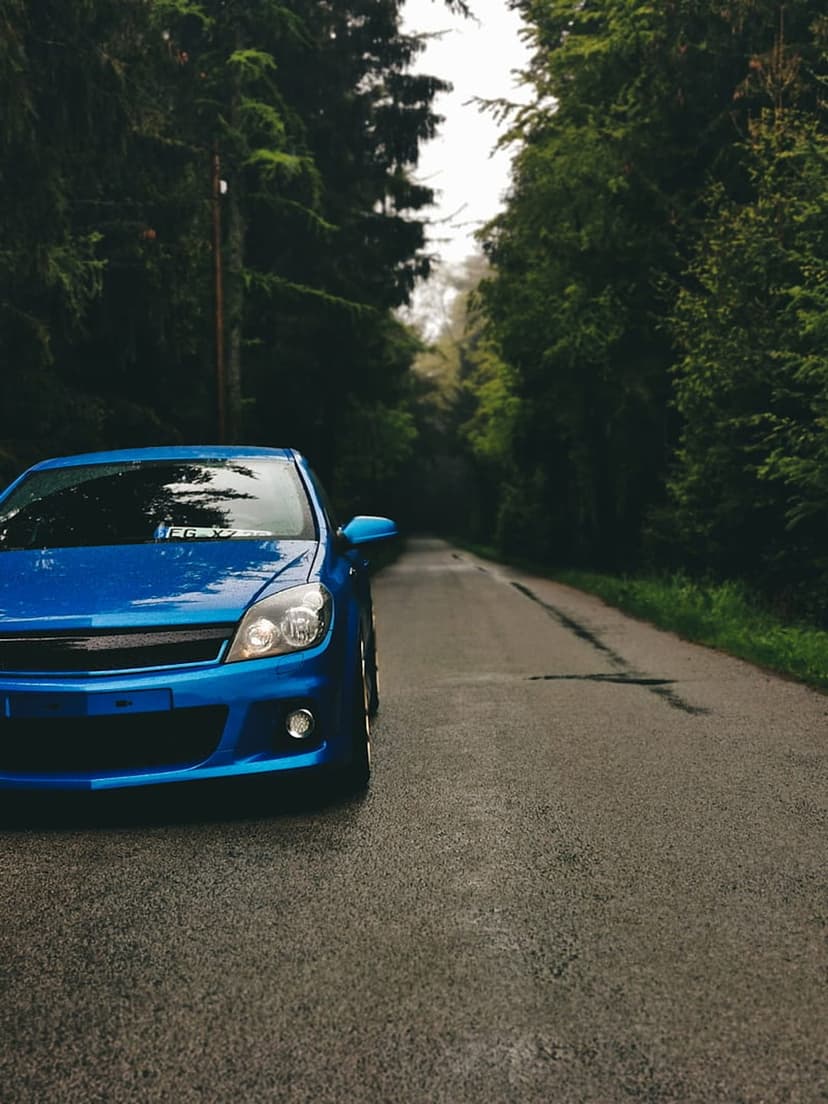 Blue car parked on a damp forest road under a dense green tree canopy with reflections on the wet asphalt surface.