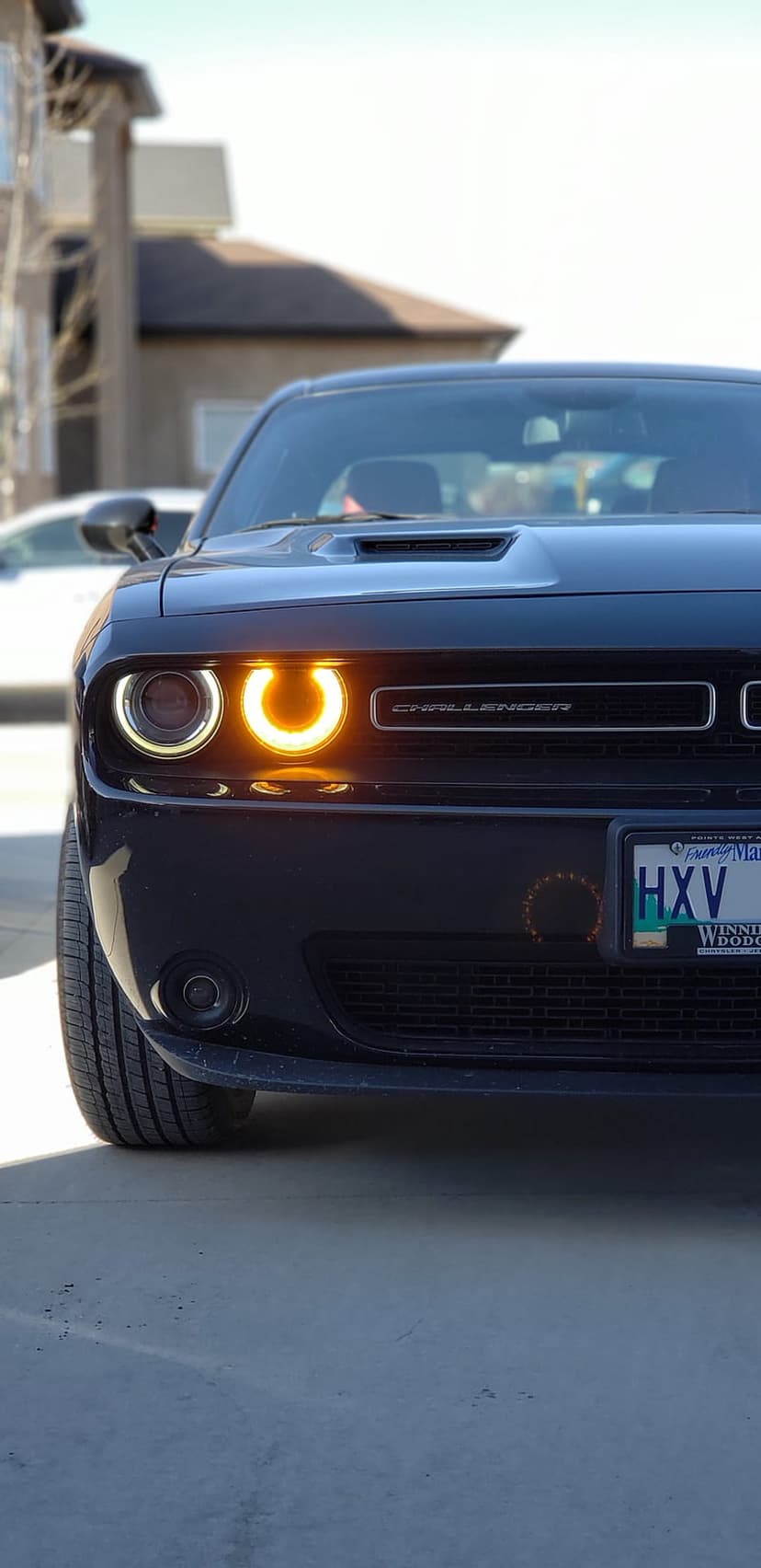 Black Dodge Challenger front grille with orange LED ring headlights and emblem on a concrete surface background.