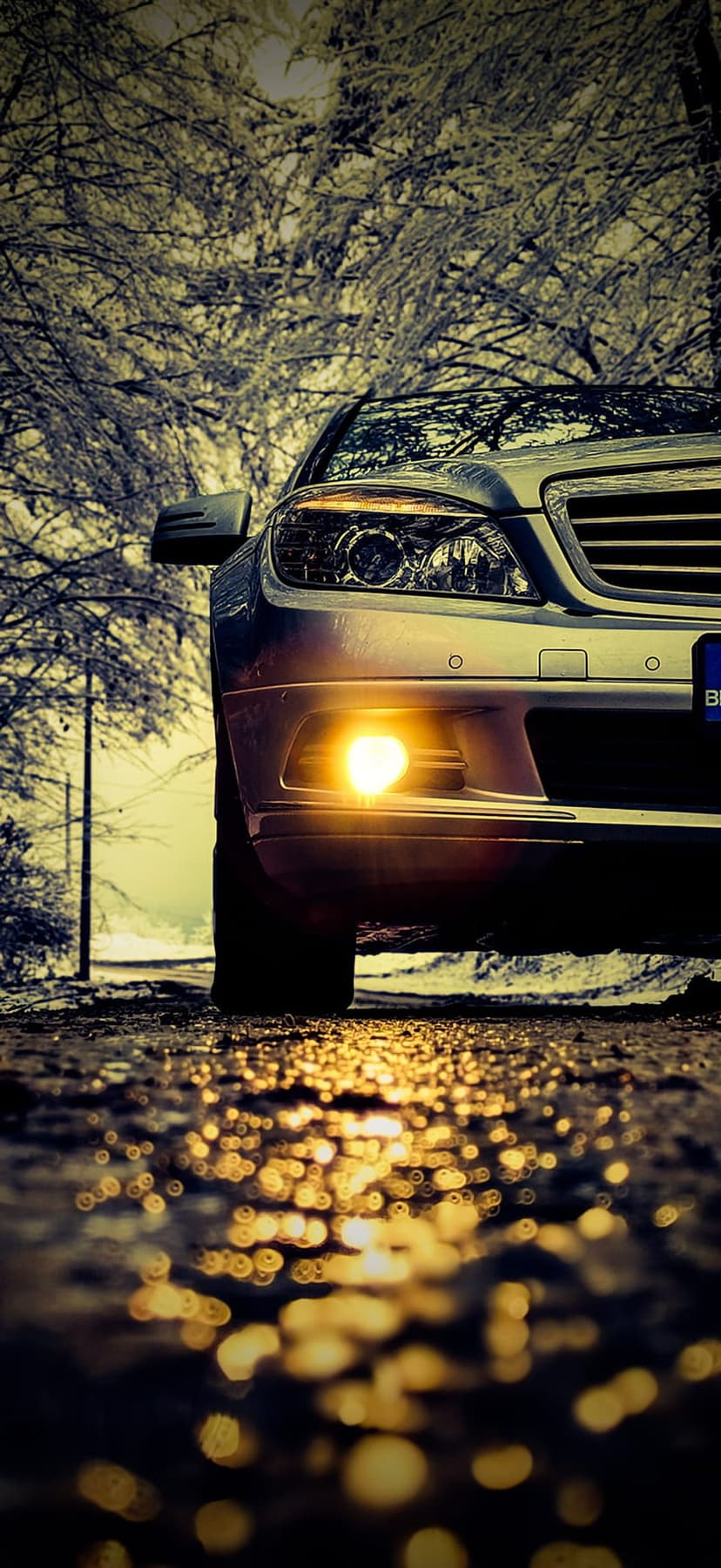 Car headlights shine on a wet asphalt road lined with snow-covered trees during a cinematic winter evening.